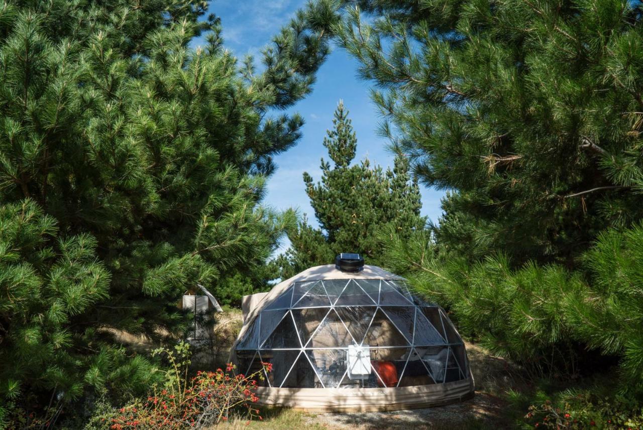 Готель Mt Gold Glamping Ванака Екстер'єр фото